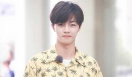 陈立农黑料娱乐圈爆料,真相与谣言的交织