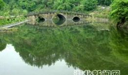 逍遥谷最新爆料新闻,最新爆料事件深度解析