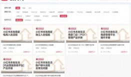 小红书爆料官方入口最新,最新玩法与福利一览”