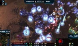 中国星际争霸爆料视频在线观看,揭秘中国电竞战队备战秘籍